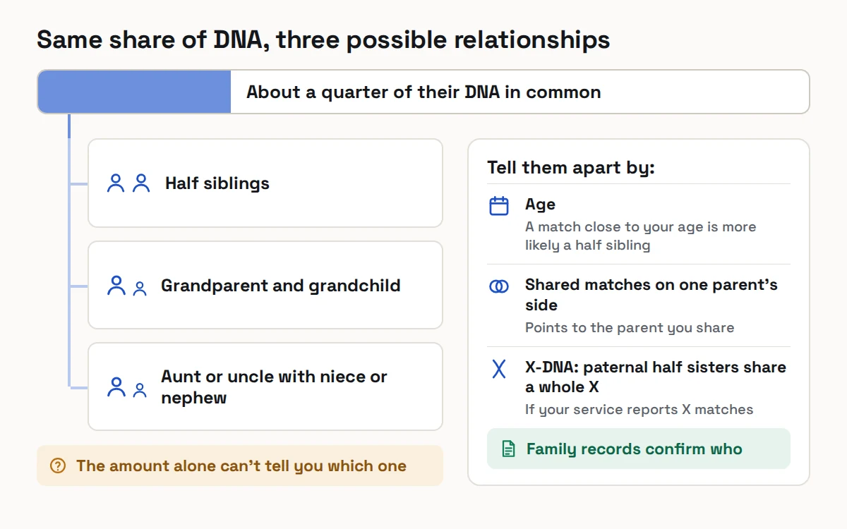 Half siblings, grandparent and grandchild, and aunt or uncle and niece or nephew each share about a quarter of their DNA; age, shared matches and X-DNA help tell them apart